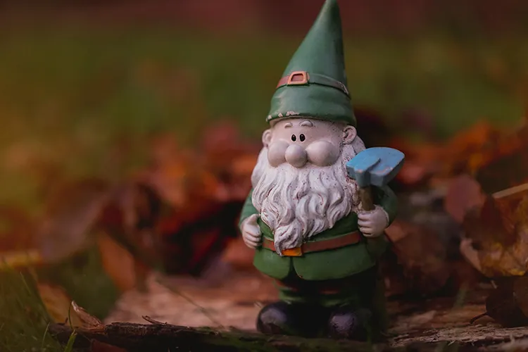 Gnomes throughout literature have been known to be Earth elementals who possessed magical qualities.