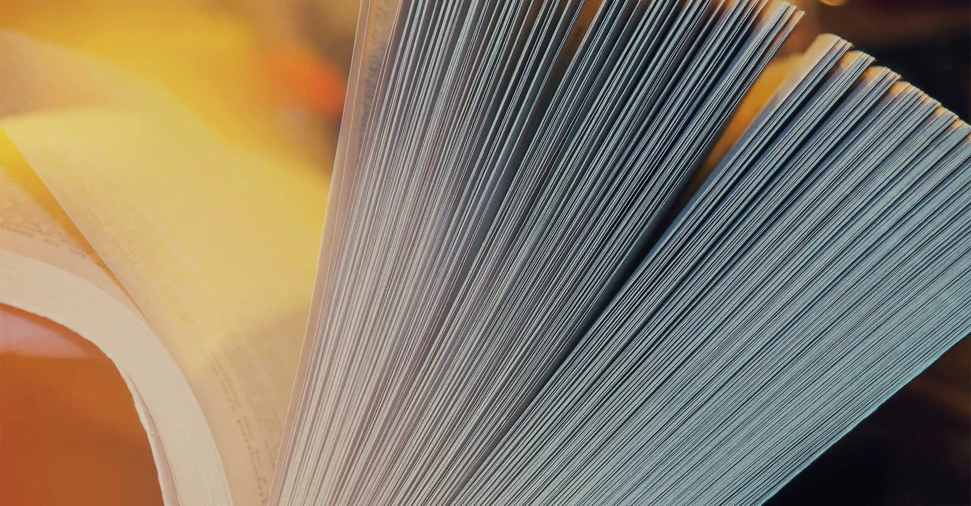 Writing a Historical Novel