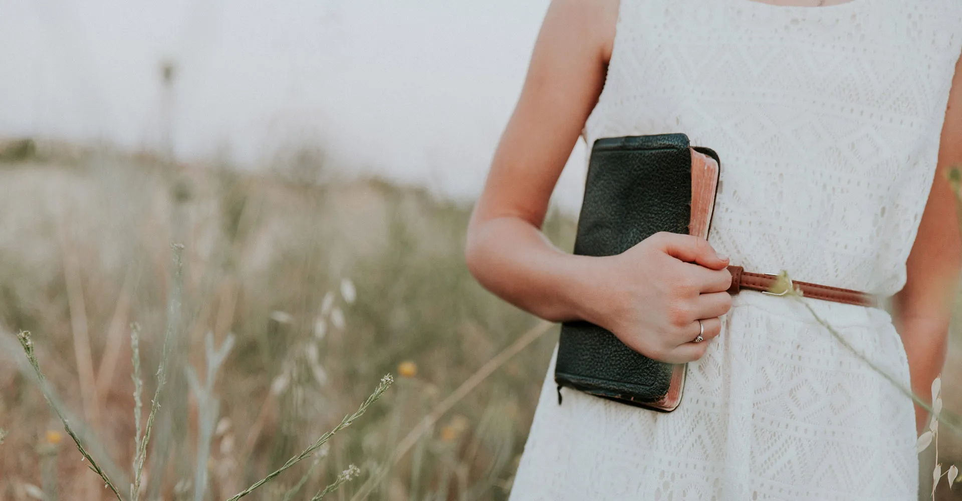 8 Tips on How to Read Emily Dickinson's Poetry