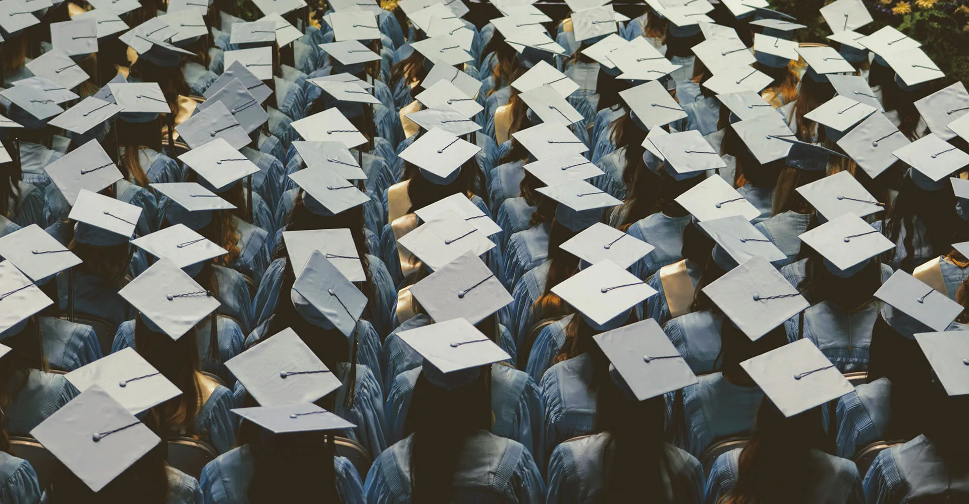 Announcing the Winner of the 2021 Scholarship